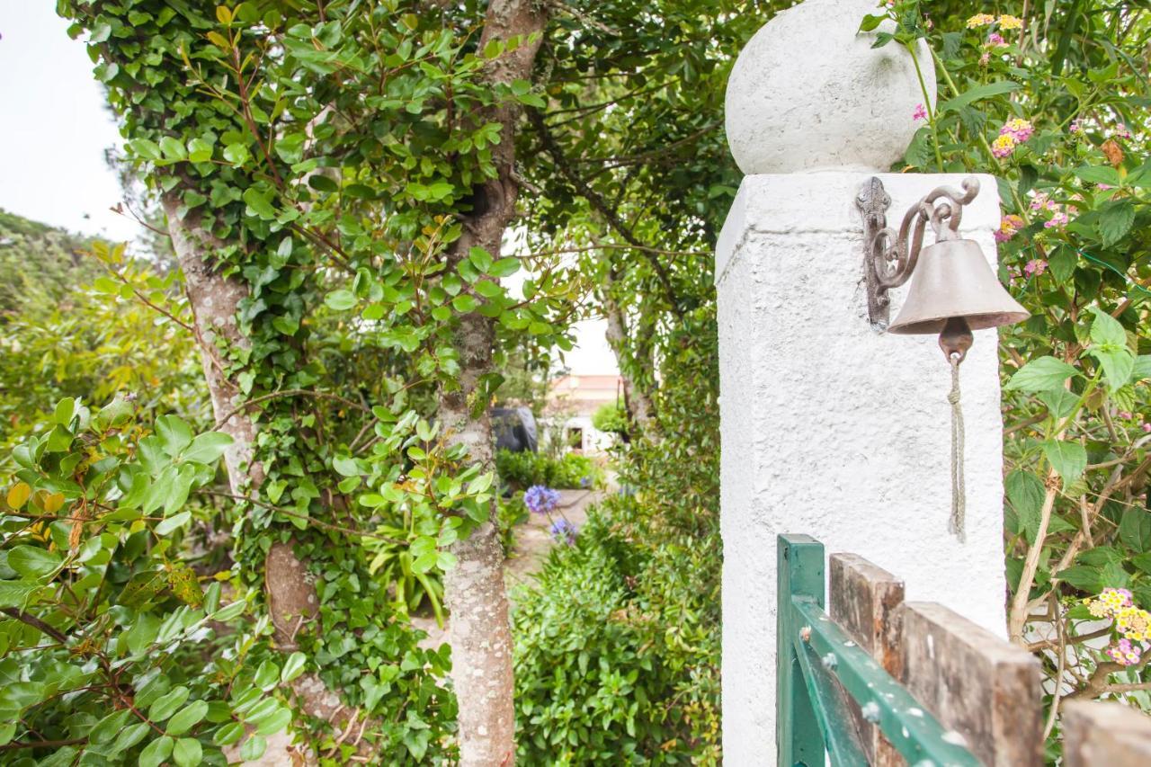 Beautiful Country House&Romantic Garden シントラ エクステリア 写真